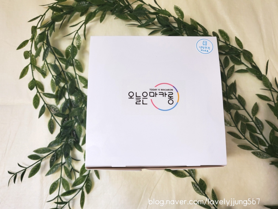 오늘은마카롱 이미지
