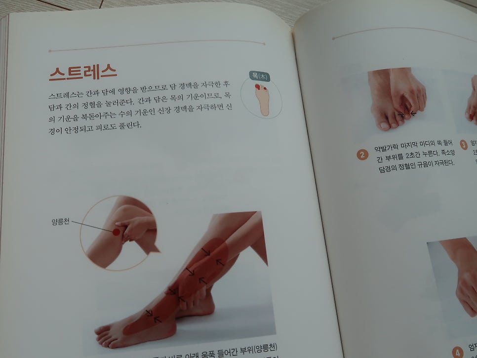(주)경맥 이미지