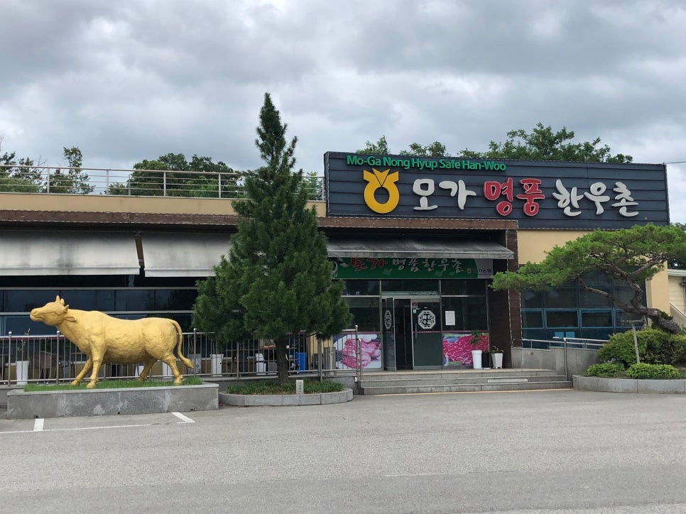 모가명품한우촌 이미지