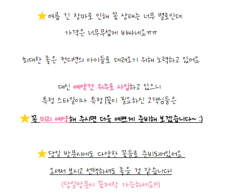 러블리플레르 이미지