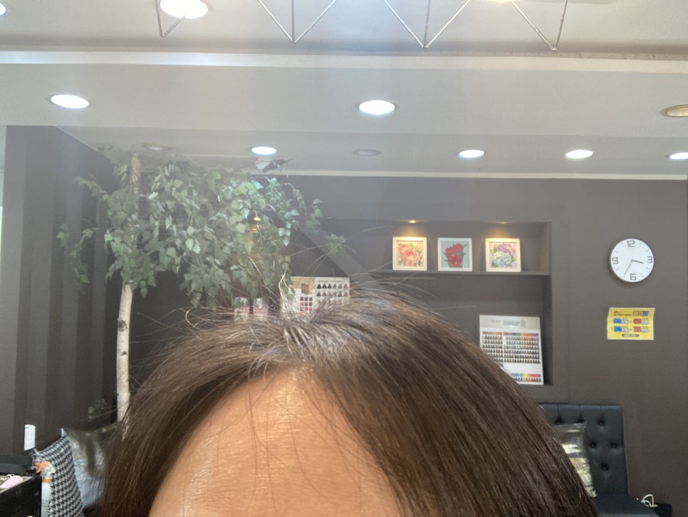 제일피부관리샾 이미지
