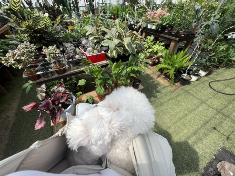 오일장농원 이미지
