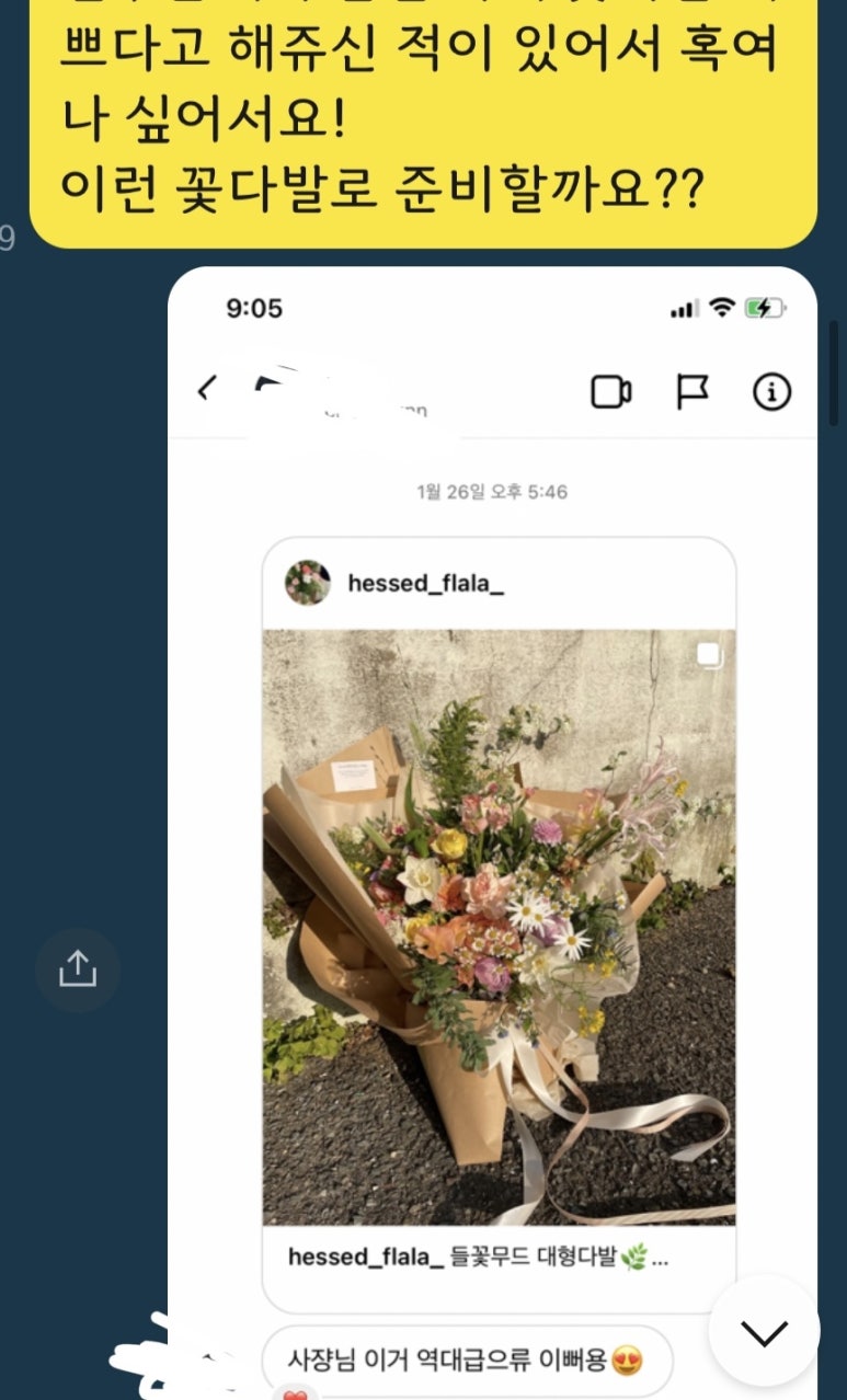 헤쎄드플라라 이미지