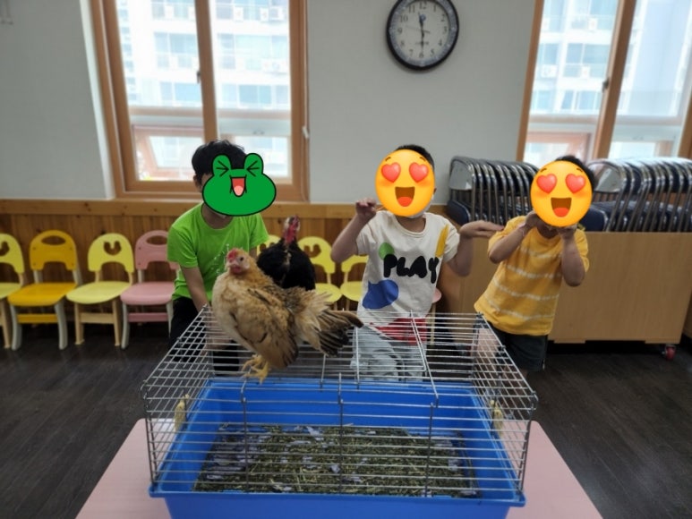 소나무 유치원 이미지