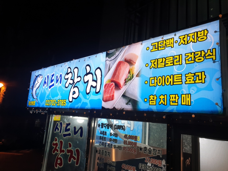 시드니참치 이미지