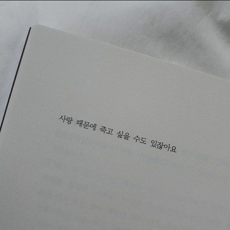 케이팝투어 이미지