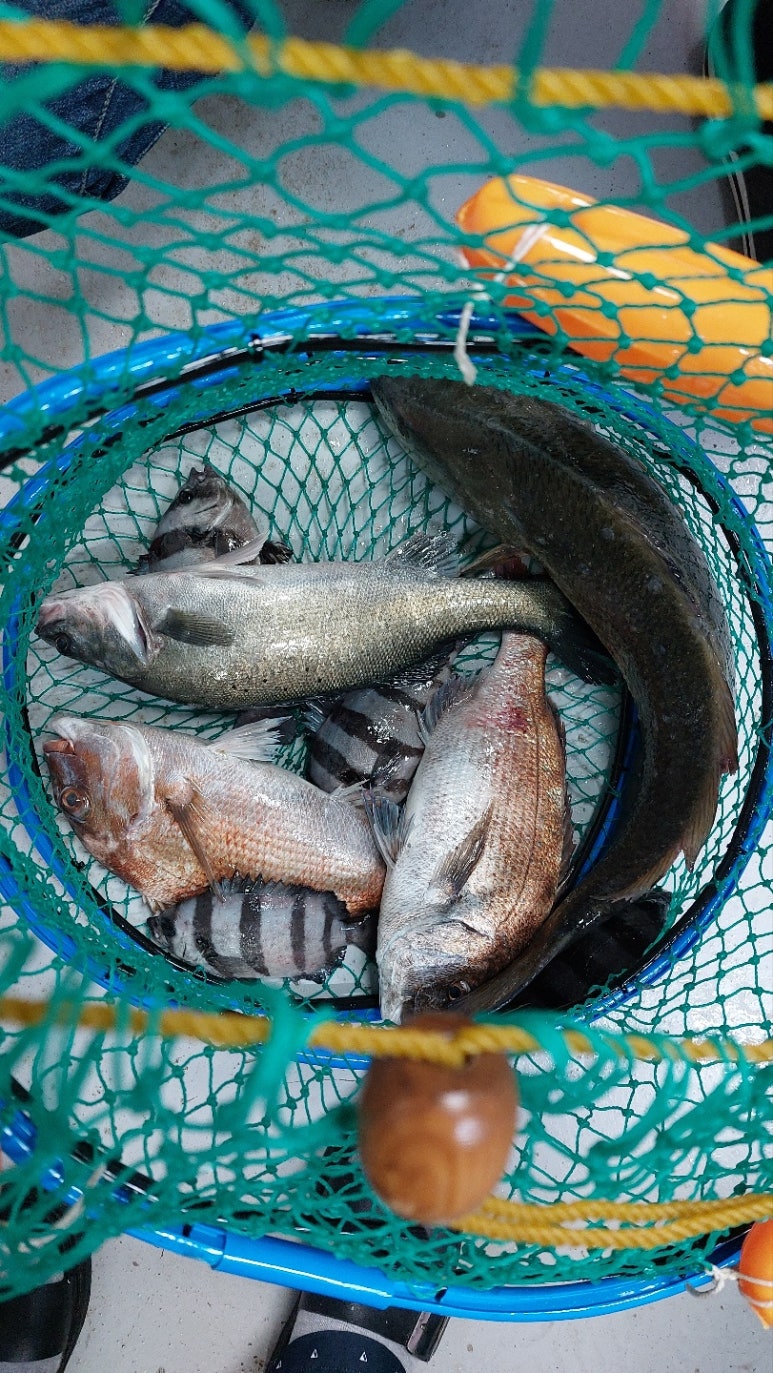 샵울산바다낚시 이미지