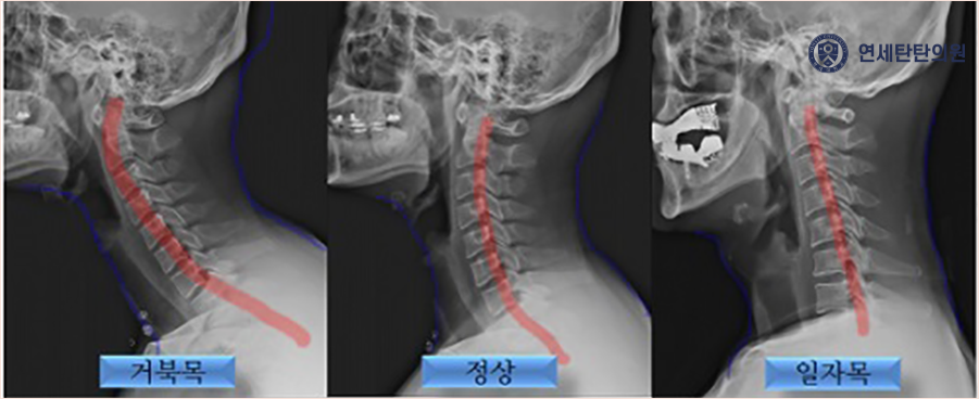 탄탄의원 이미지