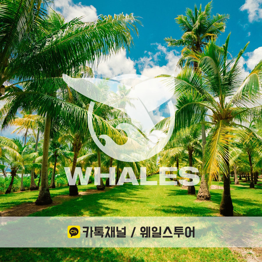웨일스투어 이미지