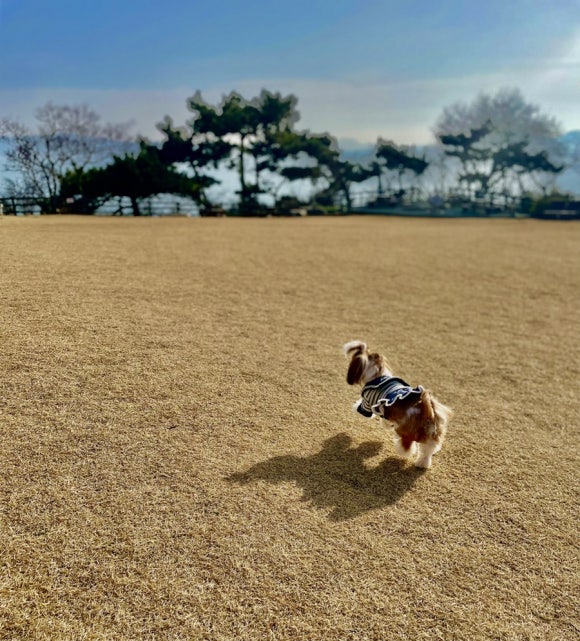 바다가쓴시 이미지