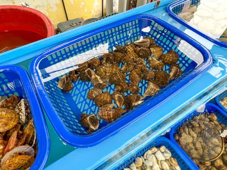 돌섬구이 이미지