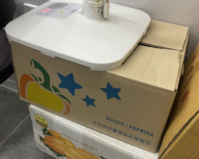 자연임실치즈피자 내서점 이미지