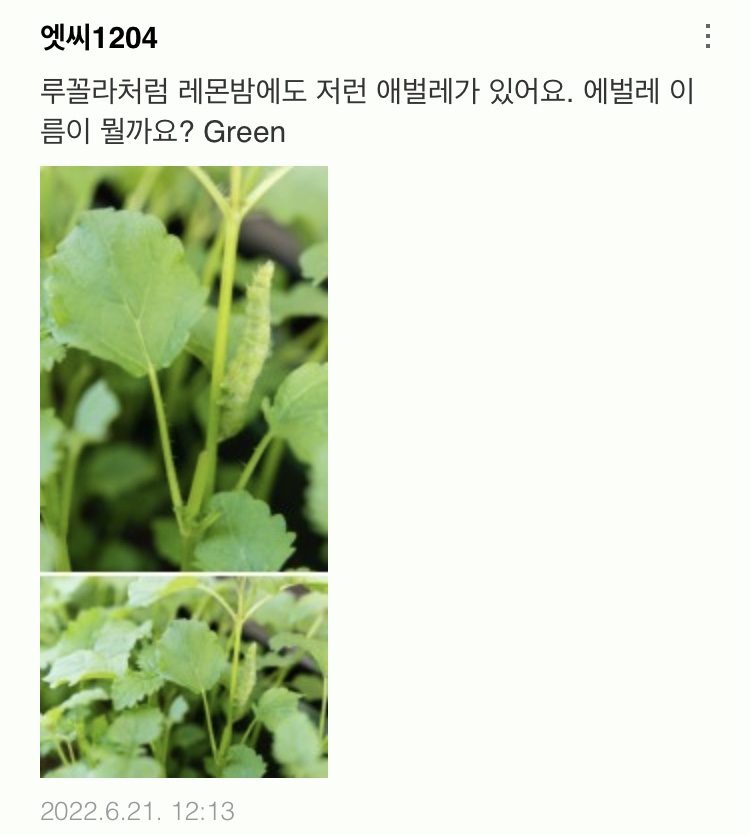 씨오이글라스 이미지