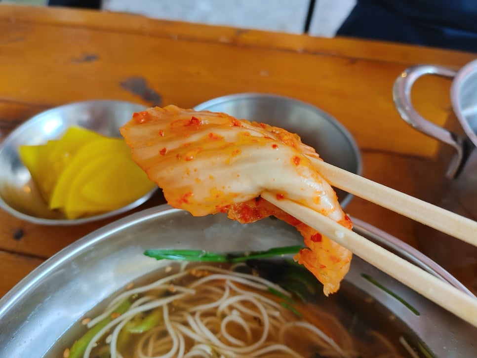 도레미씨앗 이미지