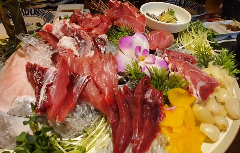 생생도도참치 이미지