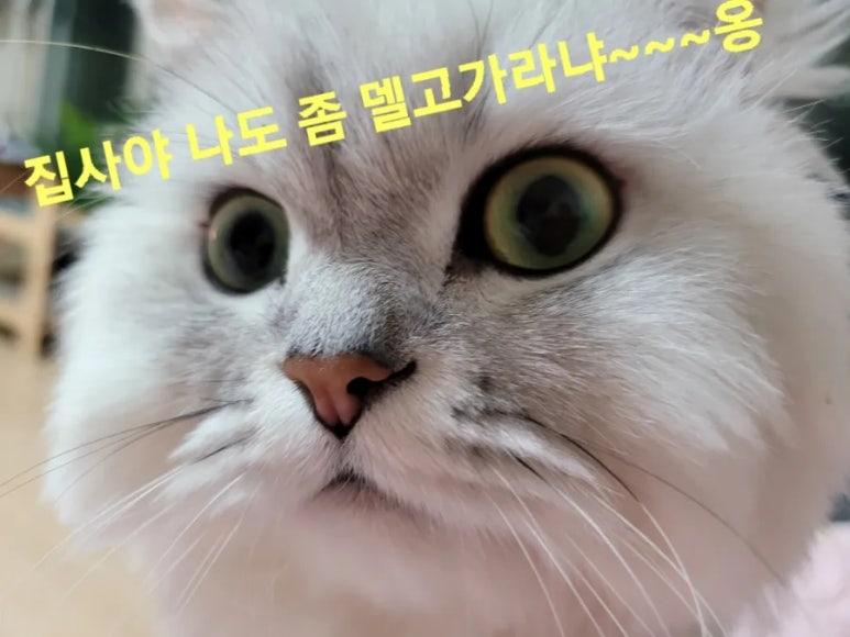 우리별당구클럽 이미지