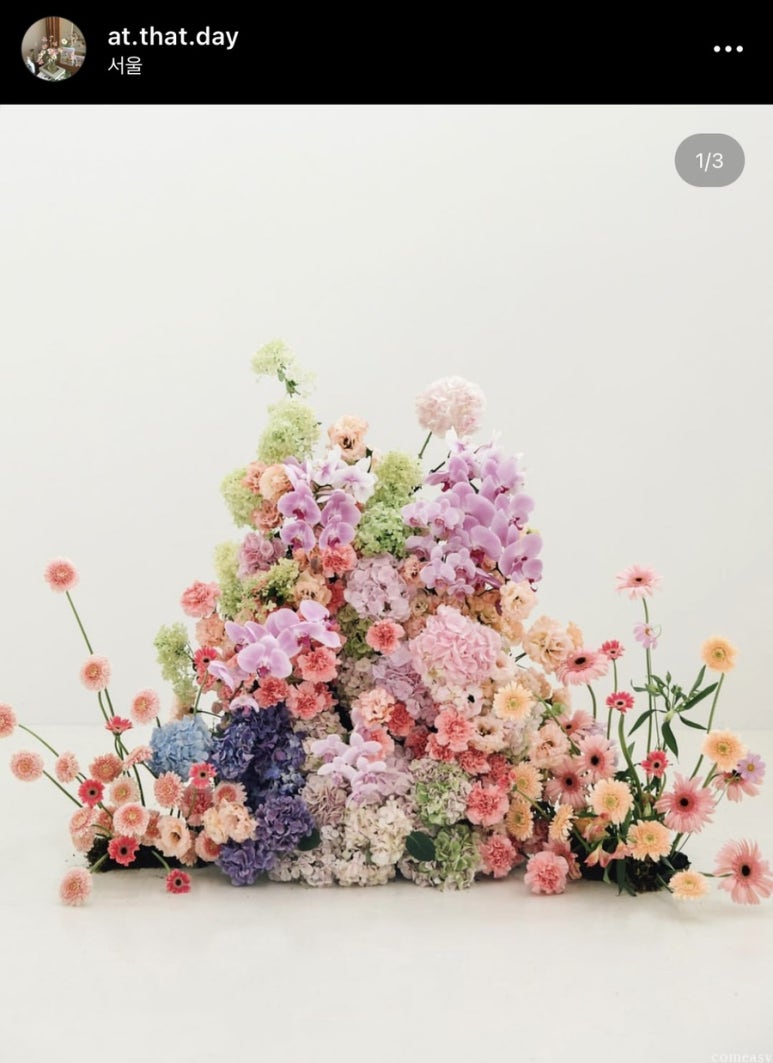 아뜰리에203 이미지