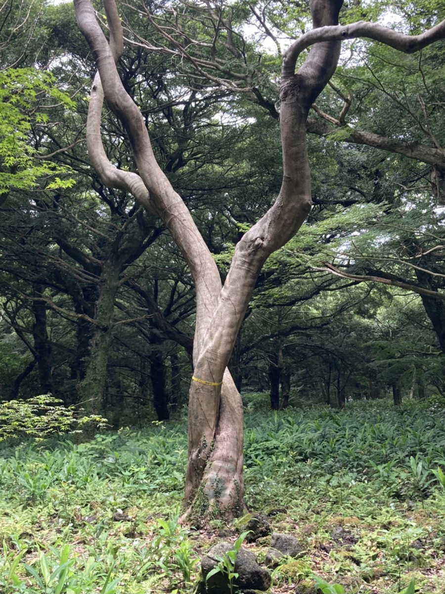 몽실상회 이미지