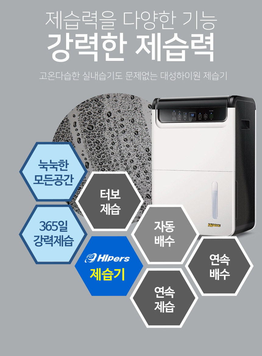 DSJ 이미지