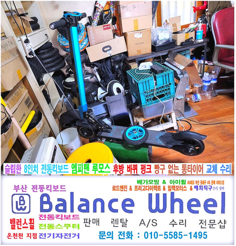 루모스맥시마 이미지