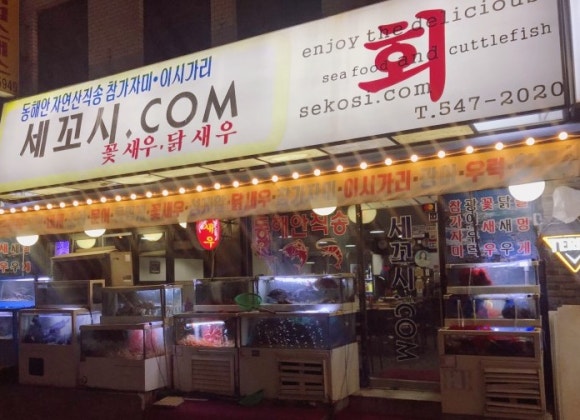 세꼬시닷컴 이미지