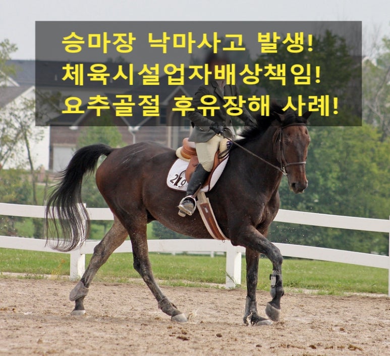 장원손해사정행정사사무소 이미지