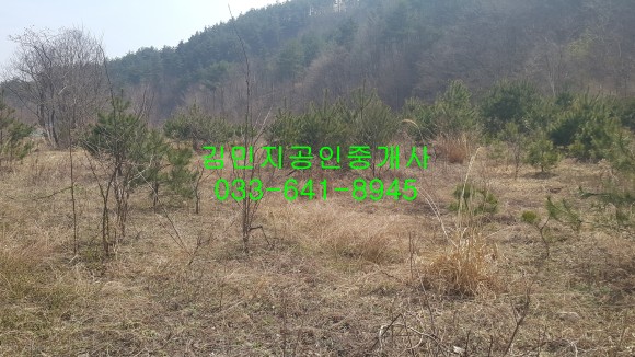 폭포골자연휴양림 이미지