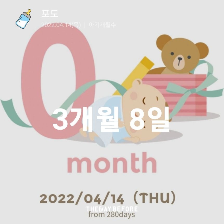 동탄푸드 이미지