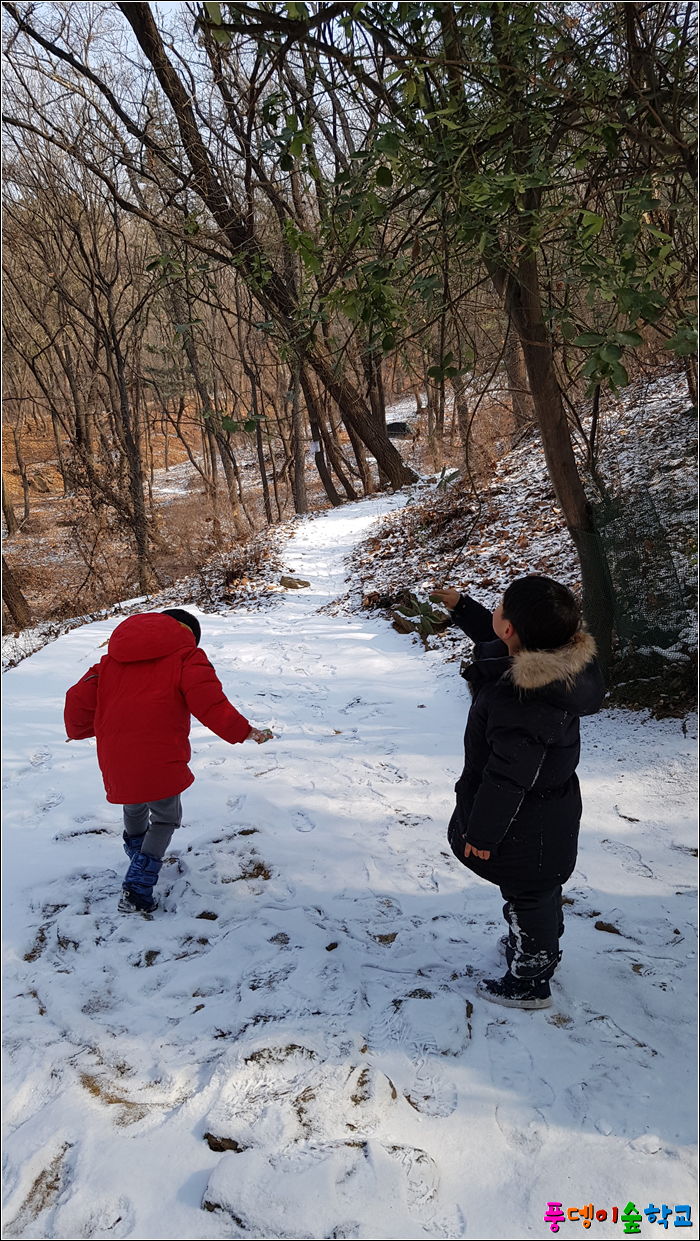 사계절을담다 이미지