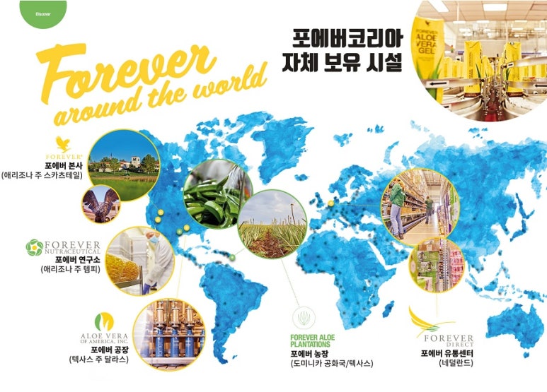 포에버코리아(유) 이미지