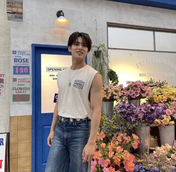 월드노래짱 이미지
