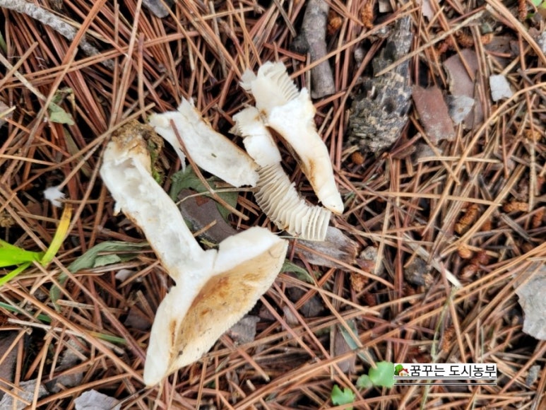 시립고색뉴지엄어린이집 이미지