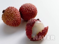 리치유통 이미지