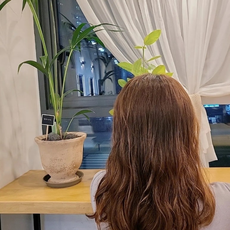 로즈헤어샵 이미지