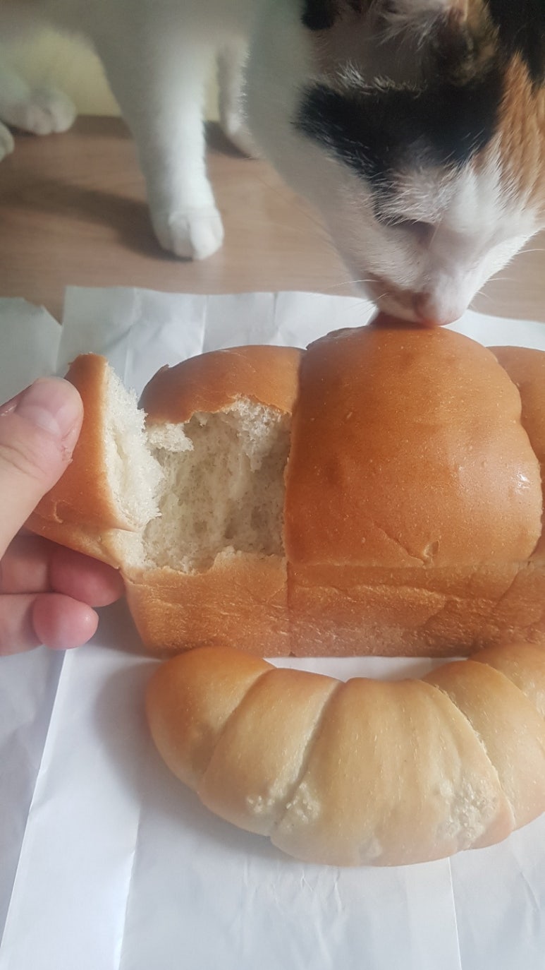 몽이네빵집 이미지