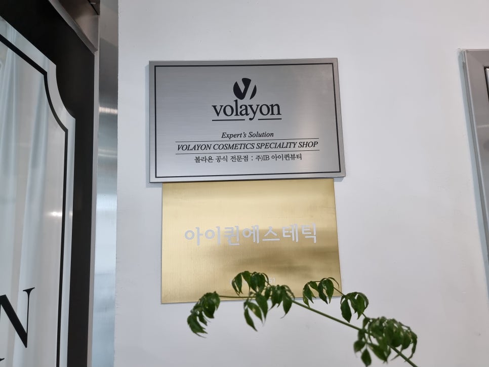 퀸에스테틱 이미지