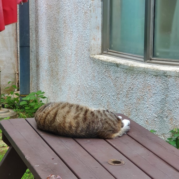 께끼타임 이미지