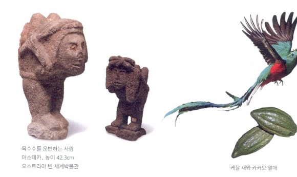 수레포츠 이미지