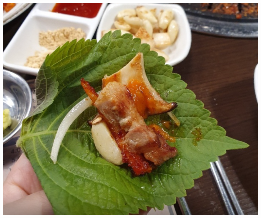 홍고집 이미지