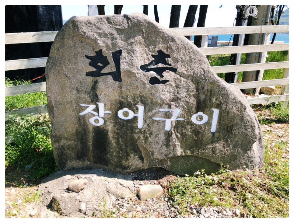 회춘장어구이 이미지