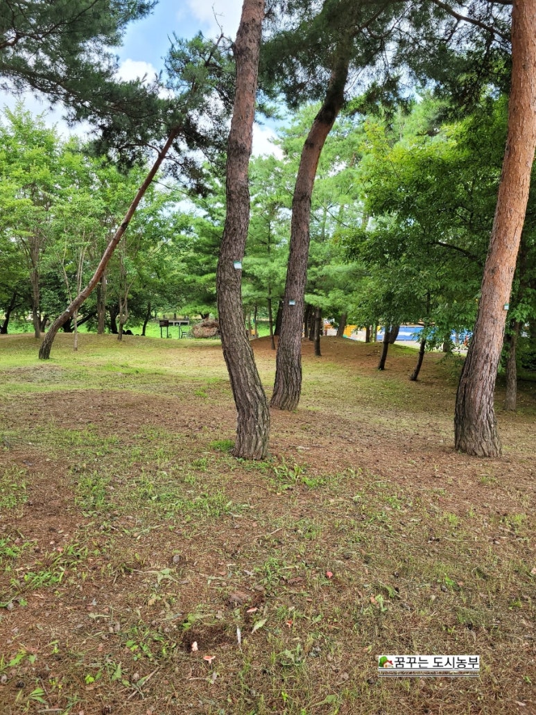 시립고색뉴지엄어린이집 이미지