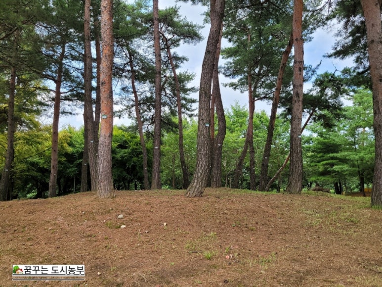 시립고색뉴지엄어린이집 이미지