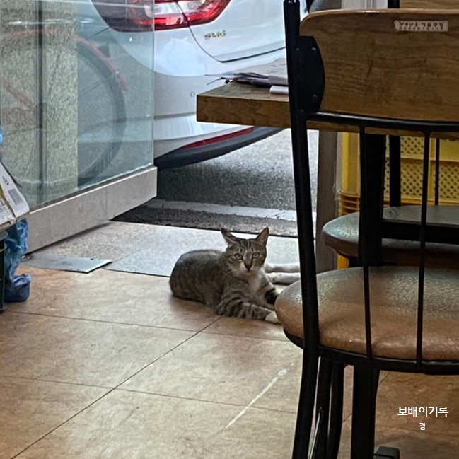 영해분식 이미지