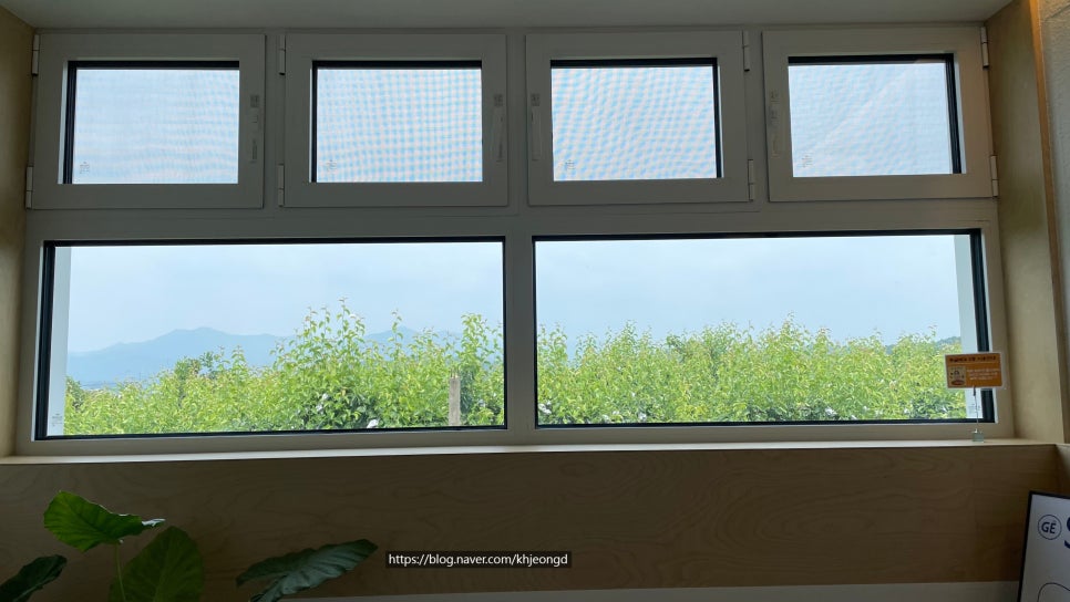 동글제과 이미지