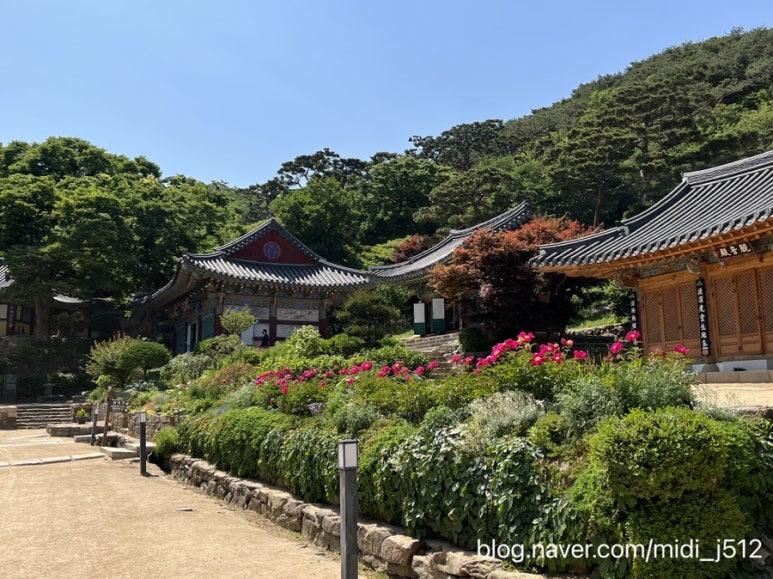 태수네해물칼국수 이미지
