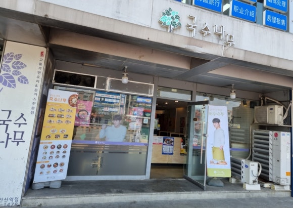 국수나무안산 이미지
