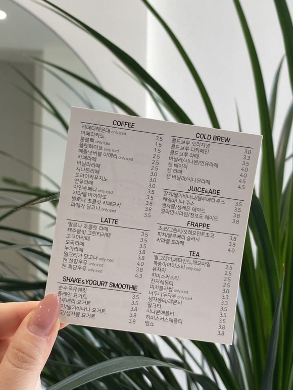 카페공오일 이미지