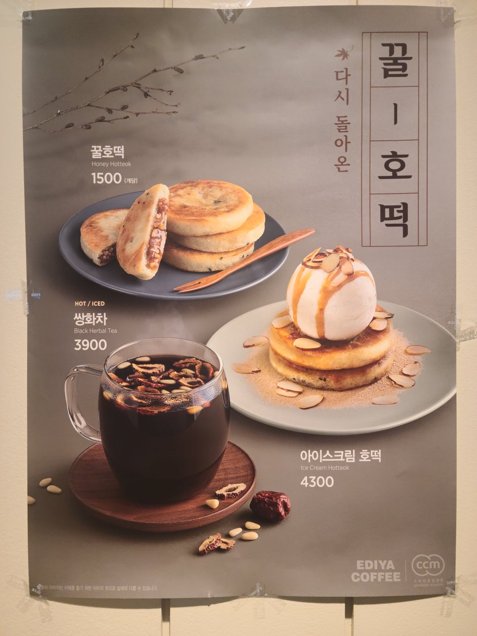 이디야순천대정문점 이미지