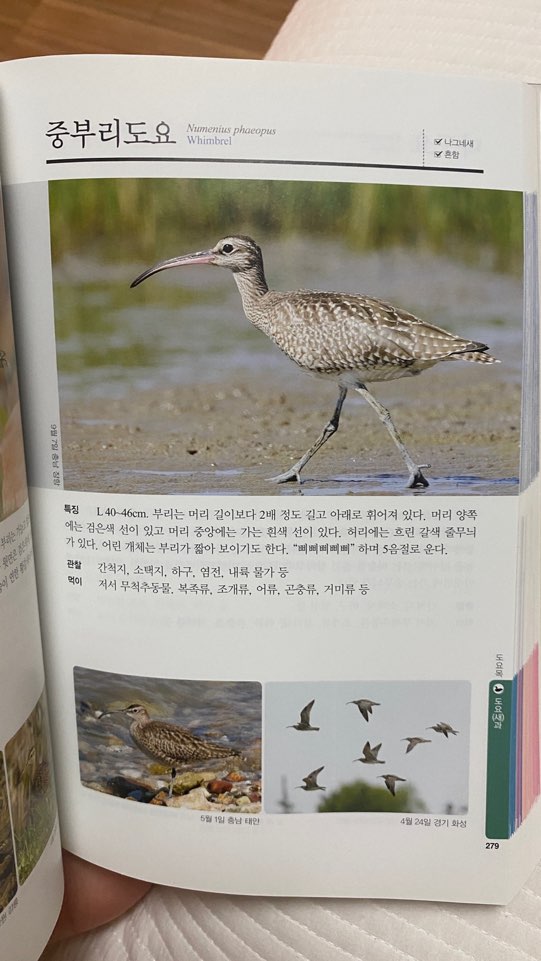 금강휴게실 이미지