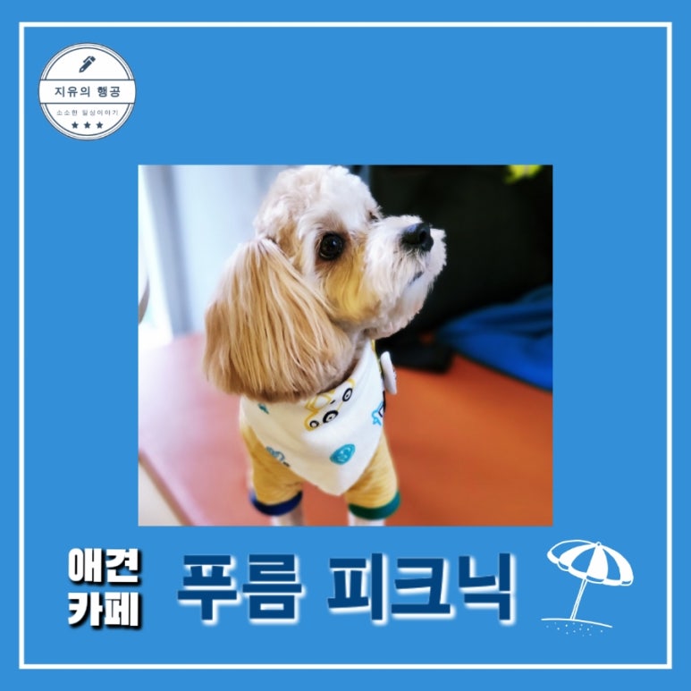 푸름피크닉 이미지